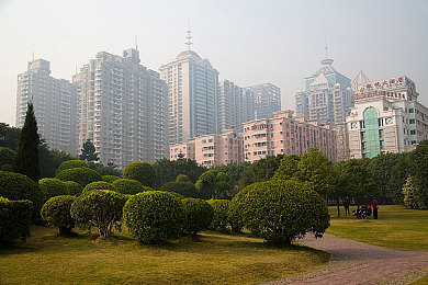 s1论坛：游戏乐园秘境，攻略热议汇聚之地-4