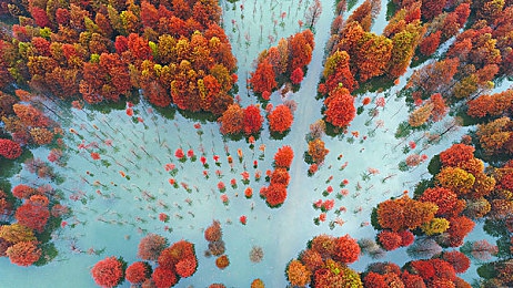 秋葵污网站：奇幻冒险启程，探索《秋葵污网站》神秘世界，开启奇幻游戏之旅