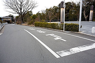 二个 上面2个添下边：绿色新风尚：城市绿化新模式助力生态宜居城市建设，探索“屋顶墙面空中地底”四大绿化新趋势-3